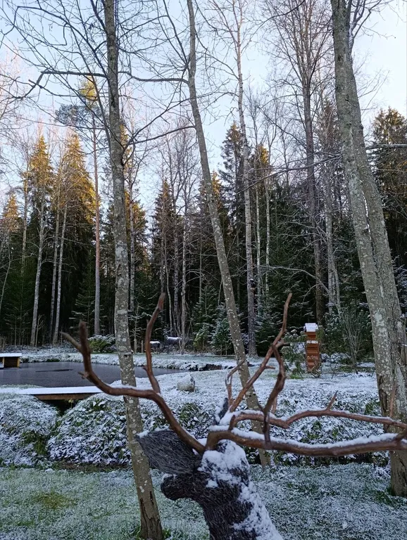 Дом с сауной у озера