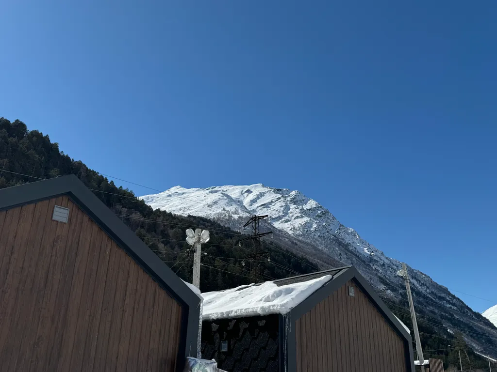 Дом с видом на сказочный лес