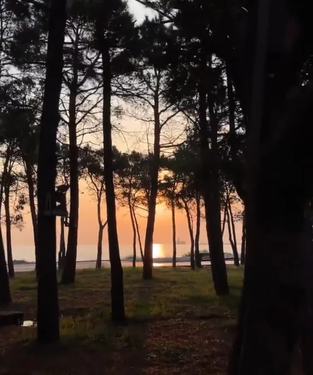 Квартира в двух минутах от берега моря и парка с хорошим ремонтом