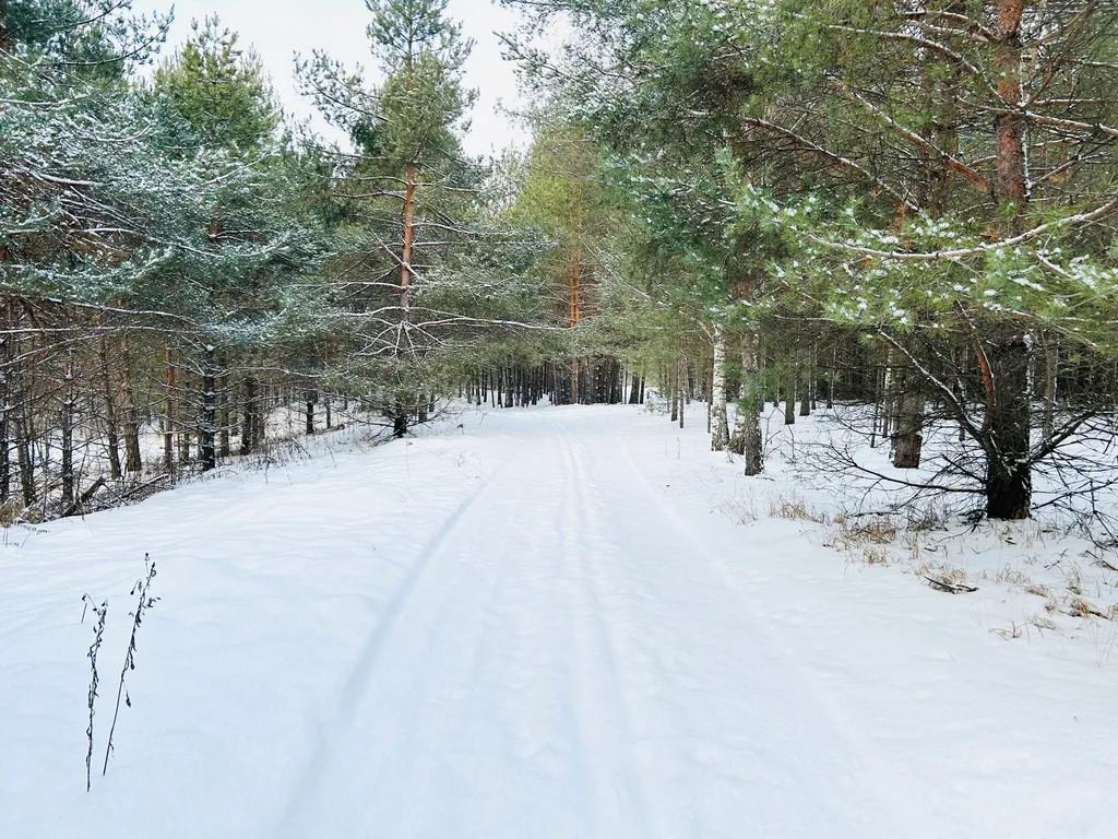 Домик с сауной
