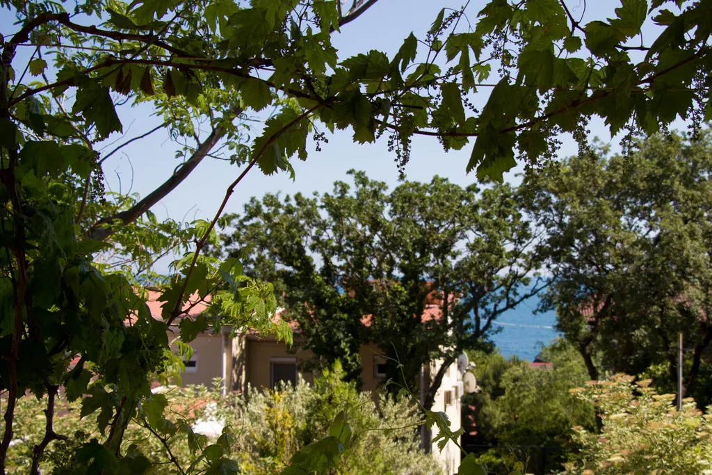 Коттедж Мираж 1 этаж