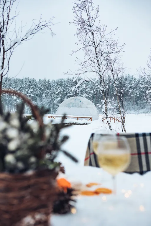 Сфера на берегу частного озера