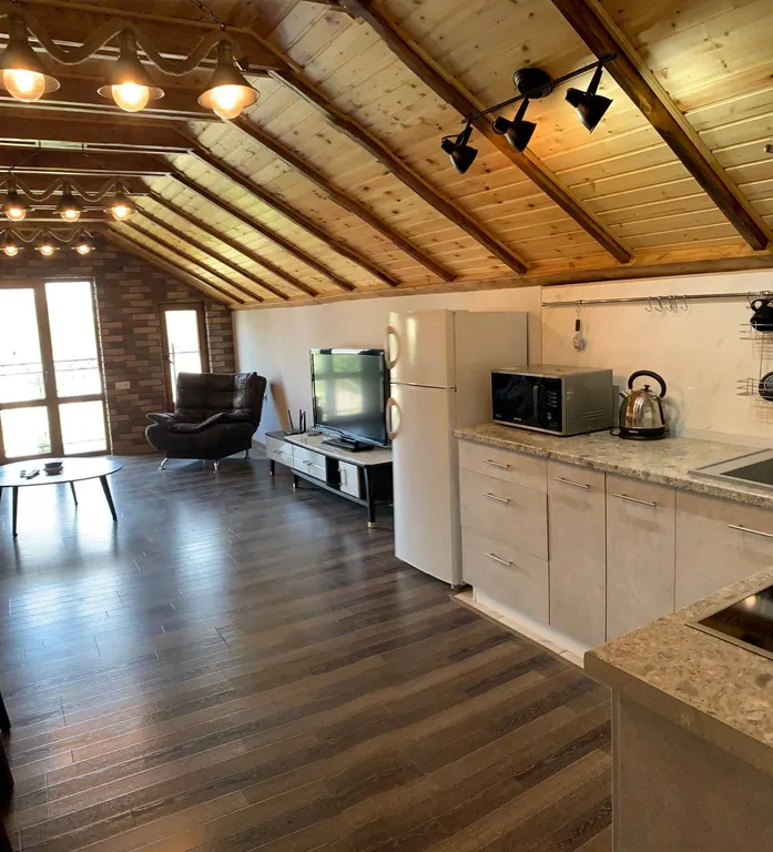 Лофт апартаменты в центре