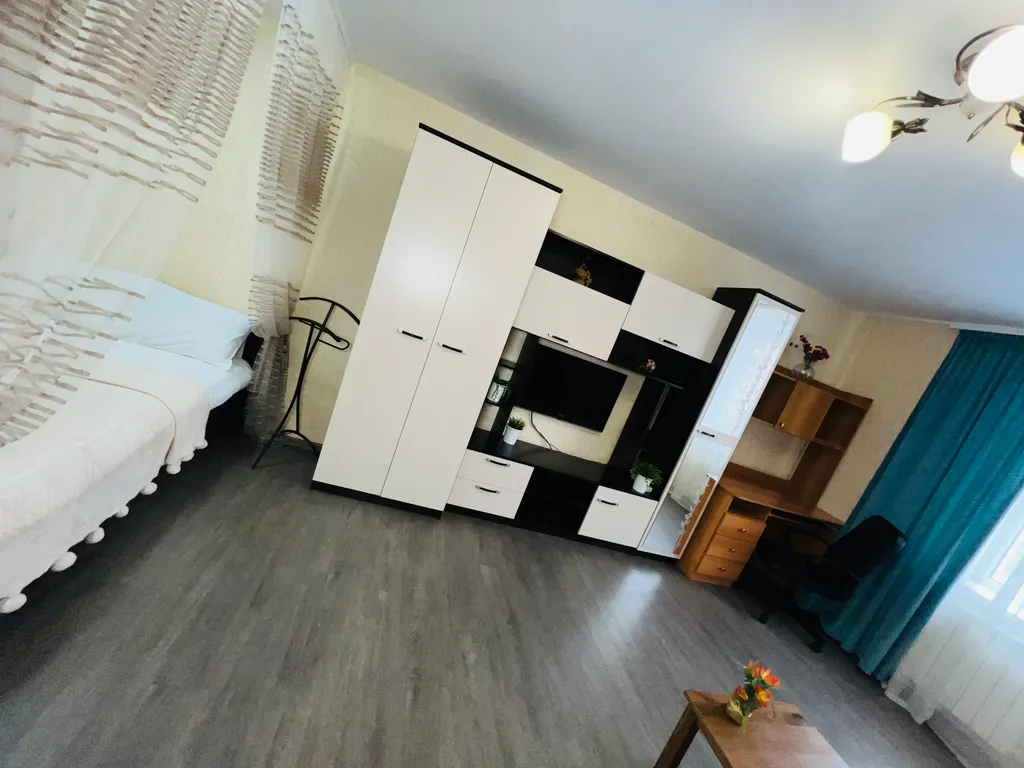 1-комнатная квартира в деловом и историческом центре города с новогодней елкой