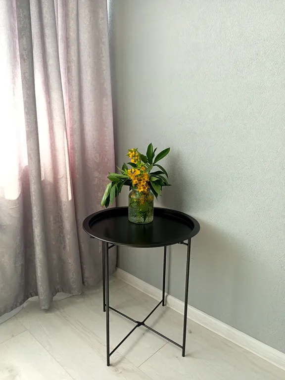 Студия в центре