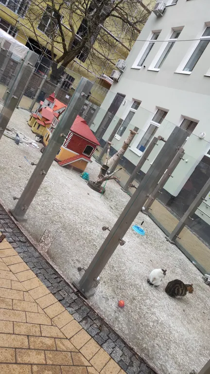 Квартира Отдых у моря в новой квартире — Зеленоградск