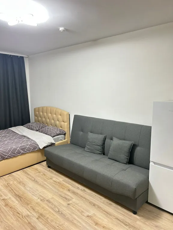 Апартаменты DreamHouse у Аэропорта