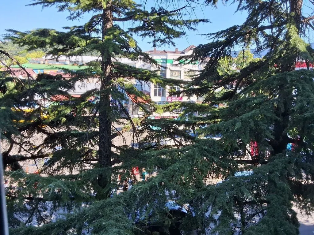 Квартира в центре города