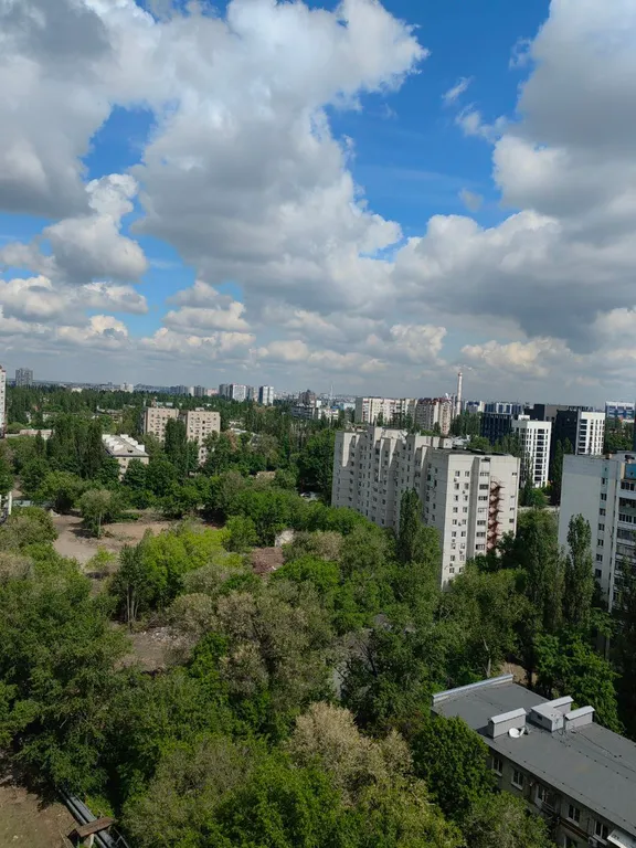 Студия Счастливый Турист