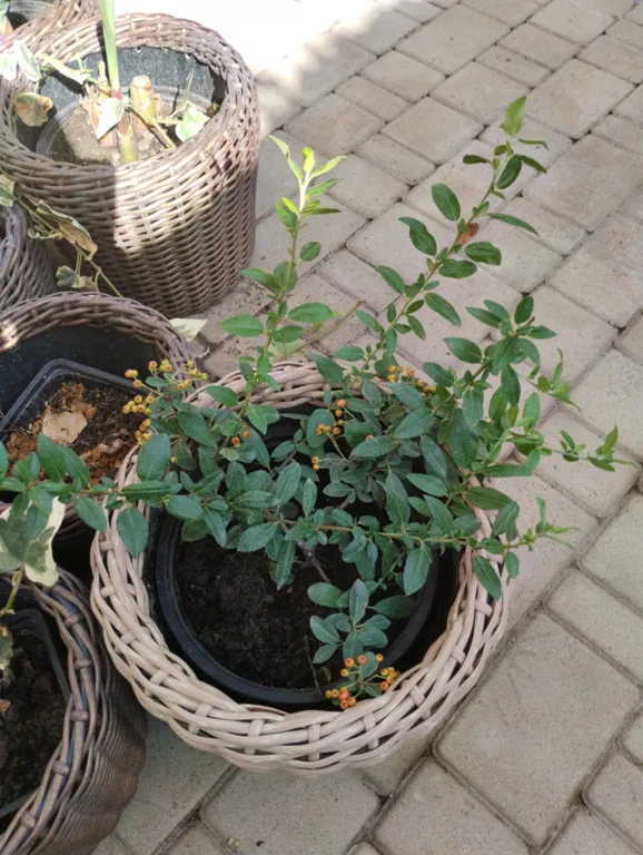 Тихое, спокойное место