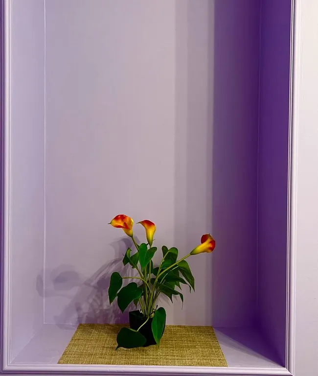 Уютная студия в центре