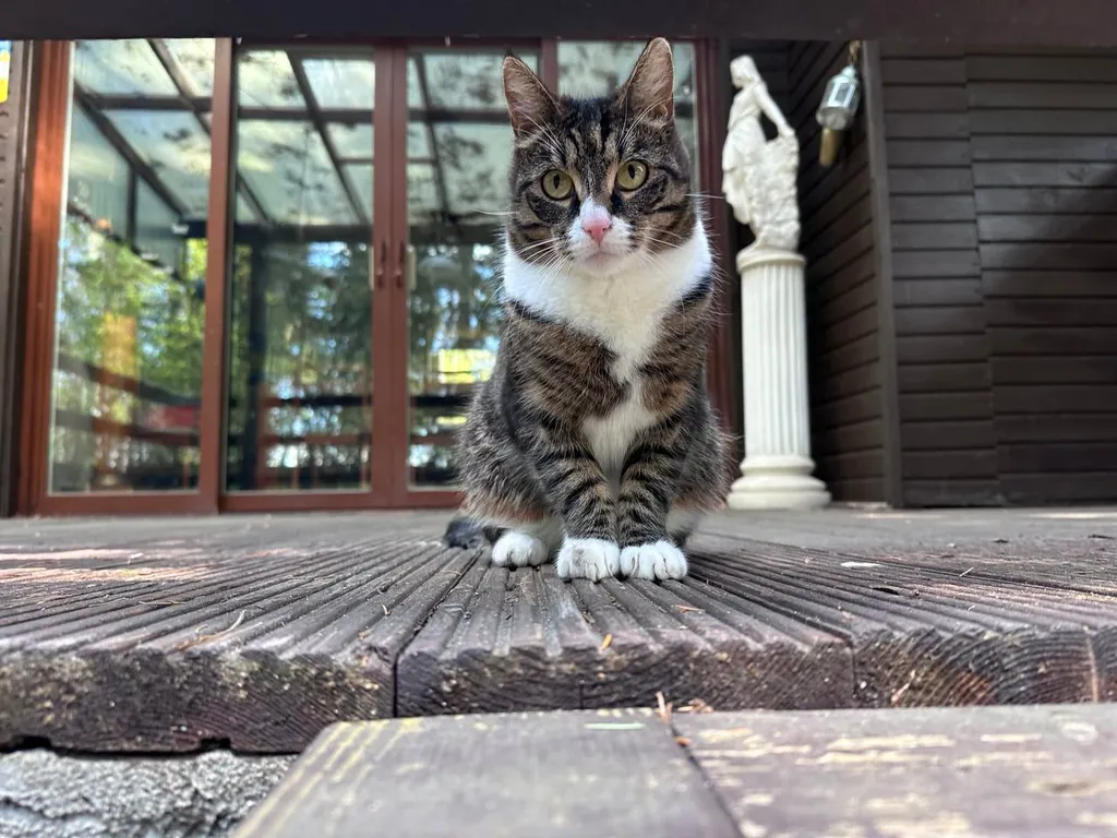 Дом на 1 линии у Финского залива