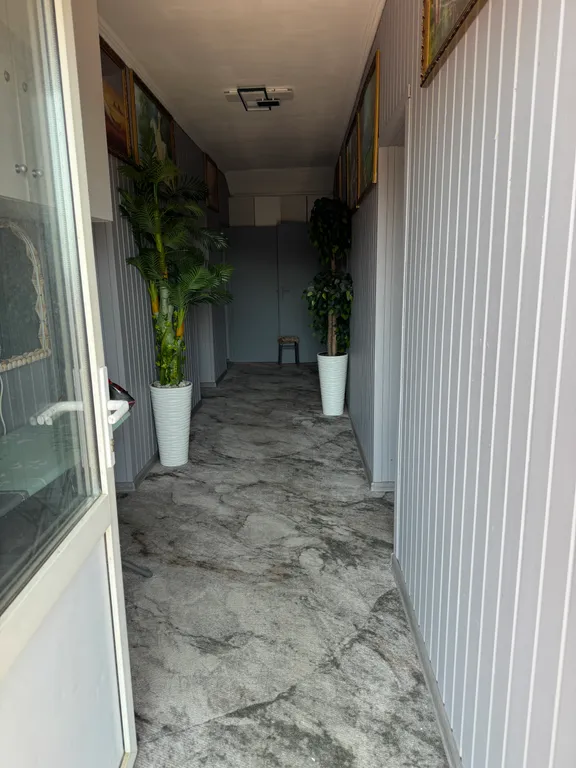 Любовь и голуби