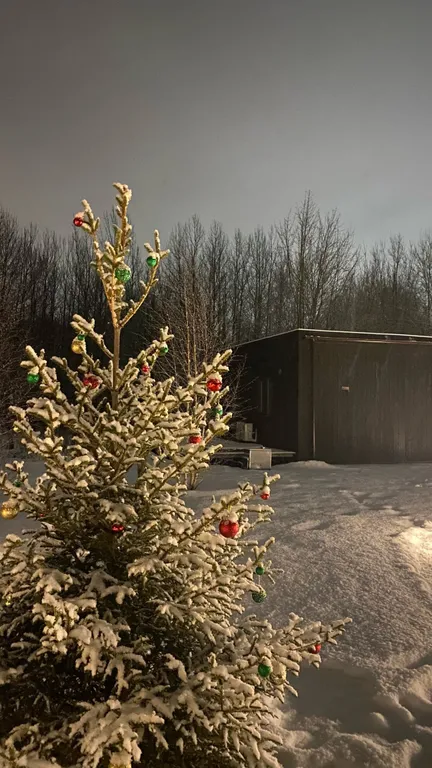 Коттедж Домики с панорамными окнами и видом на лес — Глинка