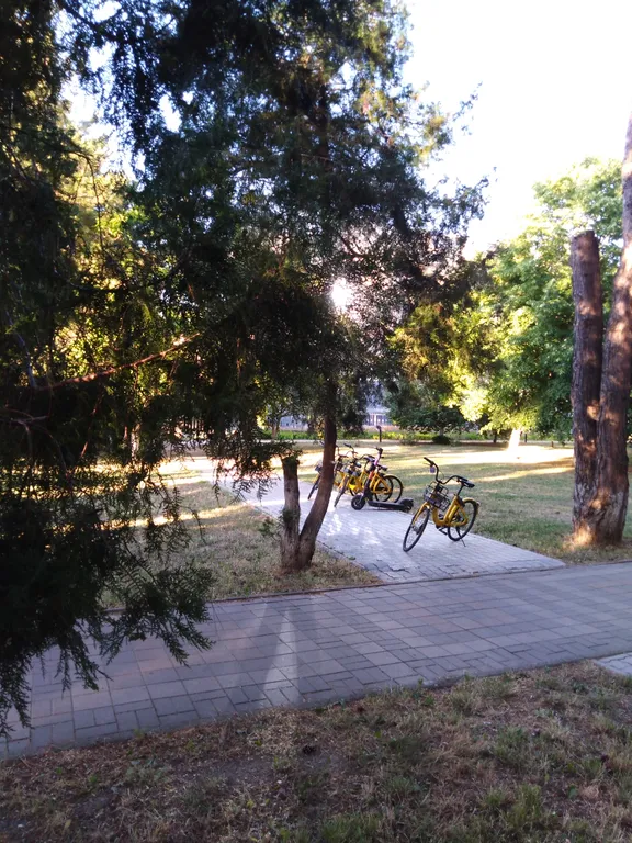 Квартира на берегу моря