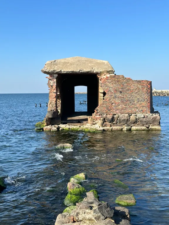 Квартира с пандой