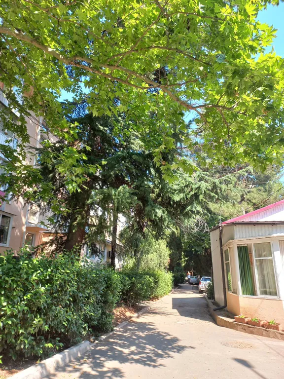 Уютная квартира в центральной части