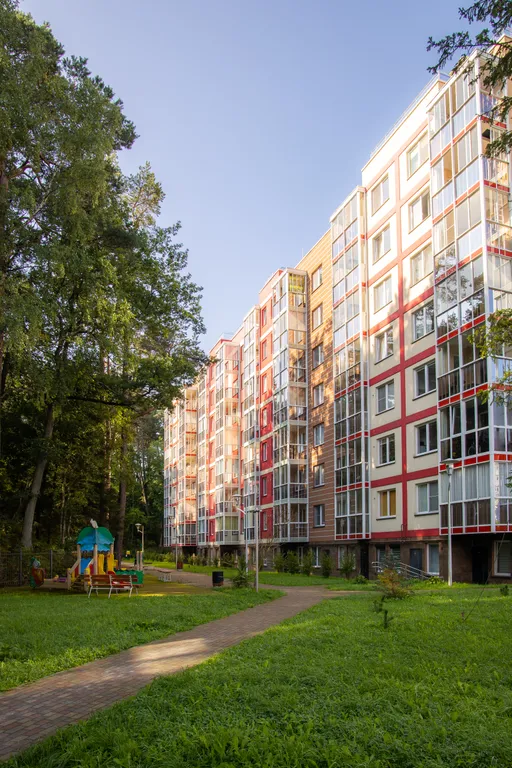 Студия с видом на сосновый лес