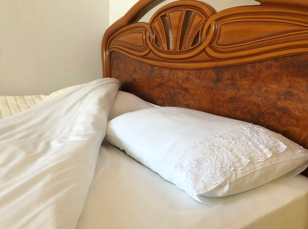 2-комнатная квартира элитного класса — аренда посуточно в Липецк