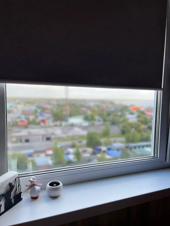 Уютная квартира с красивым видом из окна