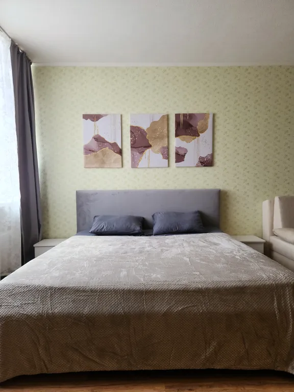 Шикарная евродвушка в центре у театра Кукол