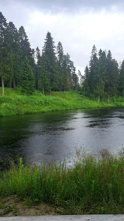 Коттедж Экодом у реки — Сясьстрой