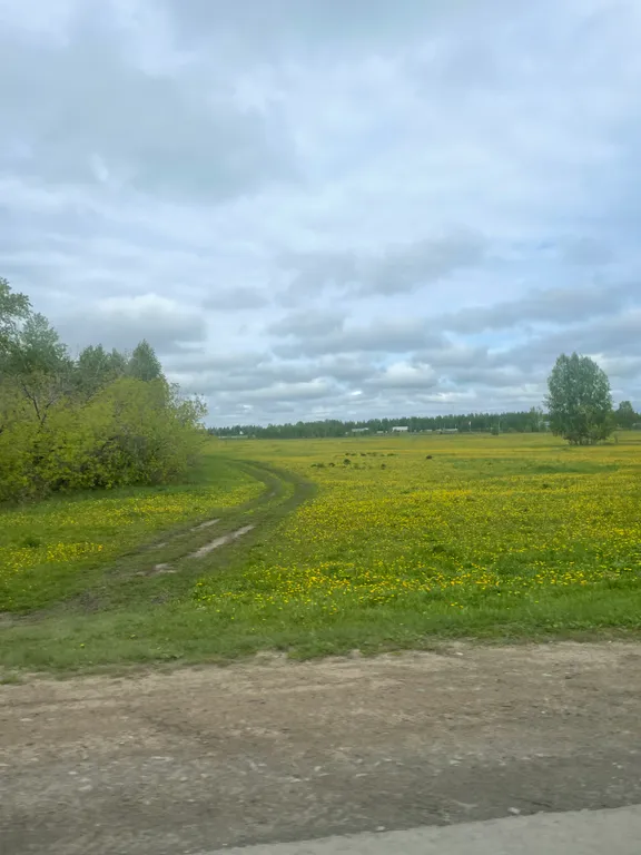 Квартира Квартира Студия за городом — Новосибирск