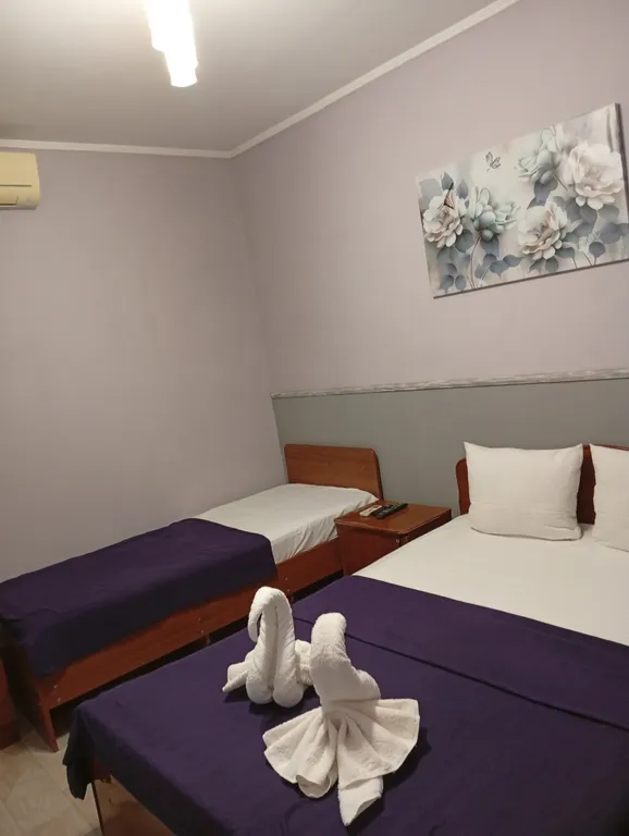 с одной двуспальной или 2 односпальными кроватями и доп спальным мест