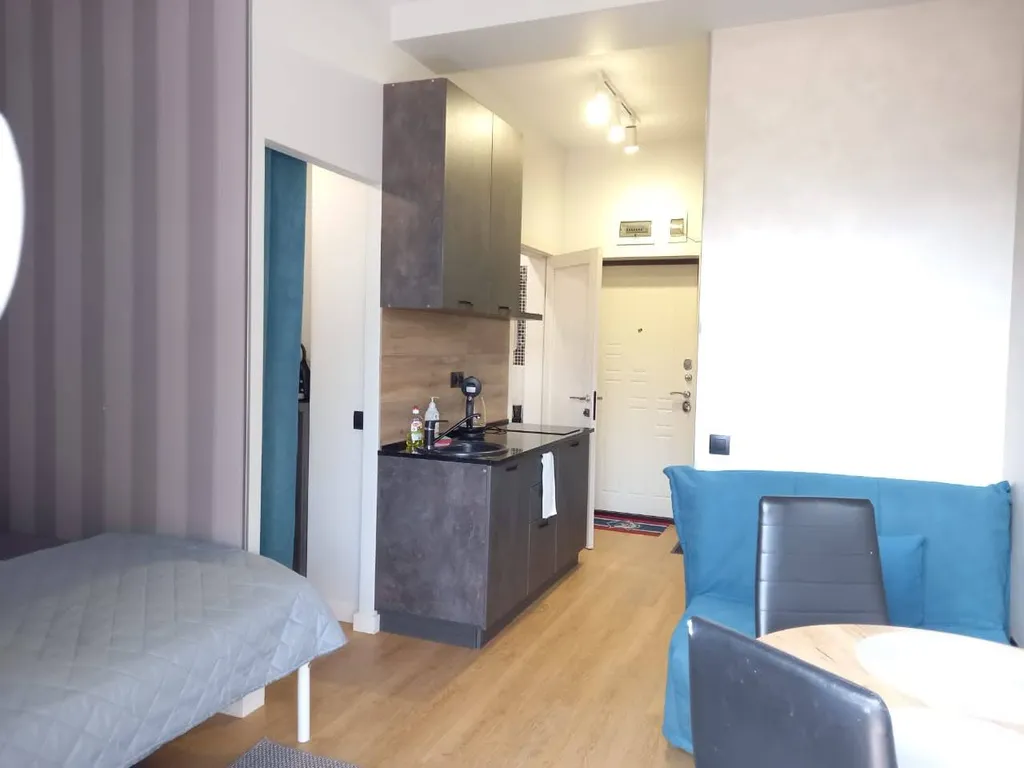 Студия с видом на горы