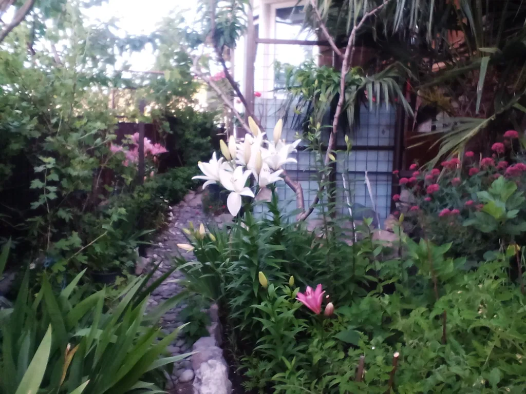 Видовая уютная студия с террасой