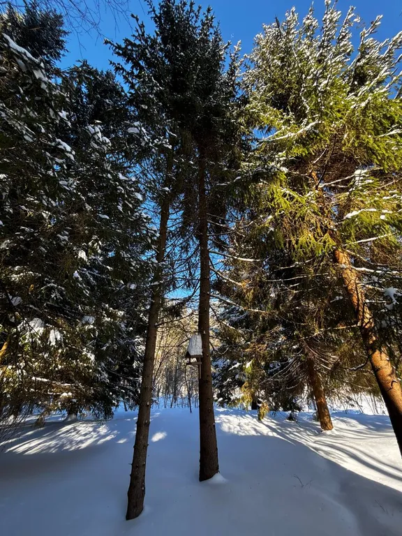 Коттедж Дом с баней и чаном в окружении леса и выходом к реке — Шадрино