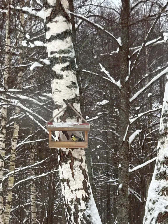 Дом в самом сердце города