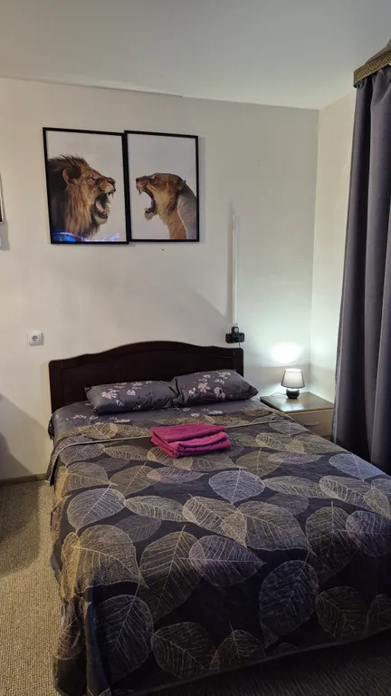 Квартира Уютная студия с видом на реку Иртыш — аренда посуточно в Ханты-Мансийск