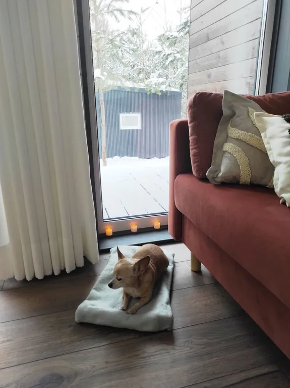 Загородный дом в лесу