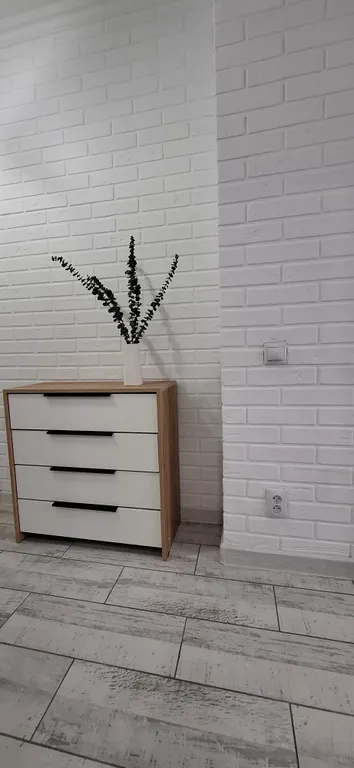 Шикарная квартира в самом центре