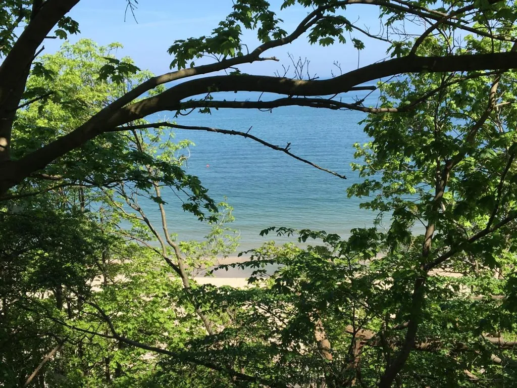 Квартира Уютный оазис с видом на Балтийское море — Пионерский