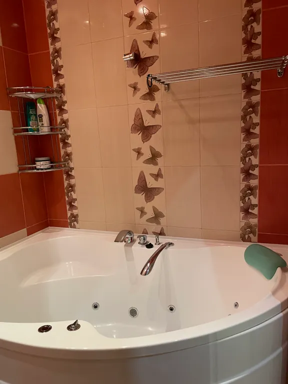 Большая, просторная квартира