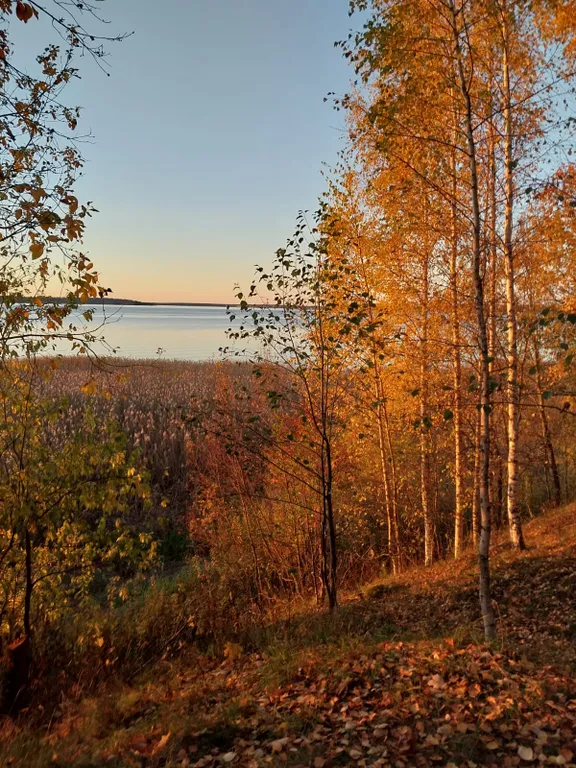 Комфортабельный 3-коттедж на 1 линии о.Селигер