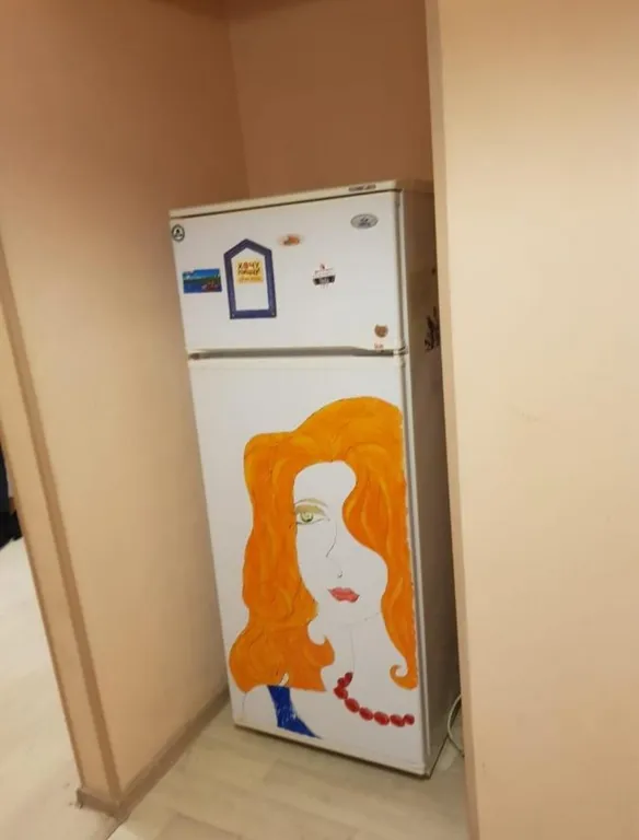 Bon Voyage уютная квартира в центре Петрозаводска