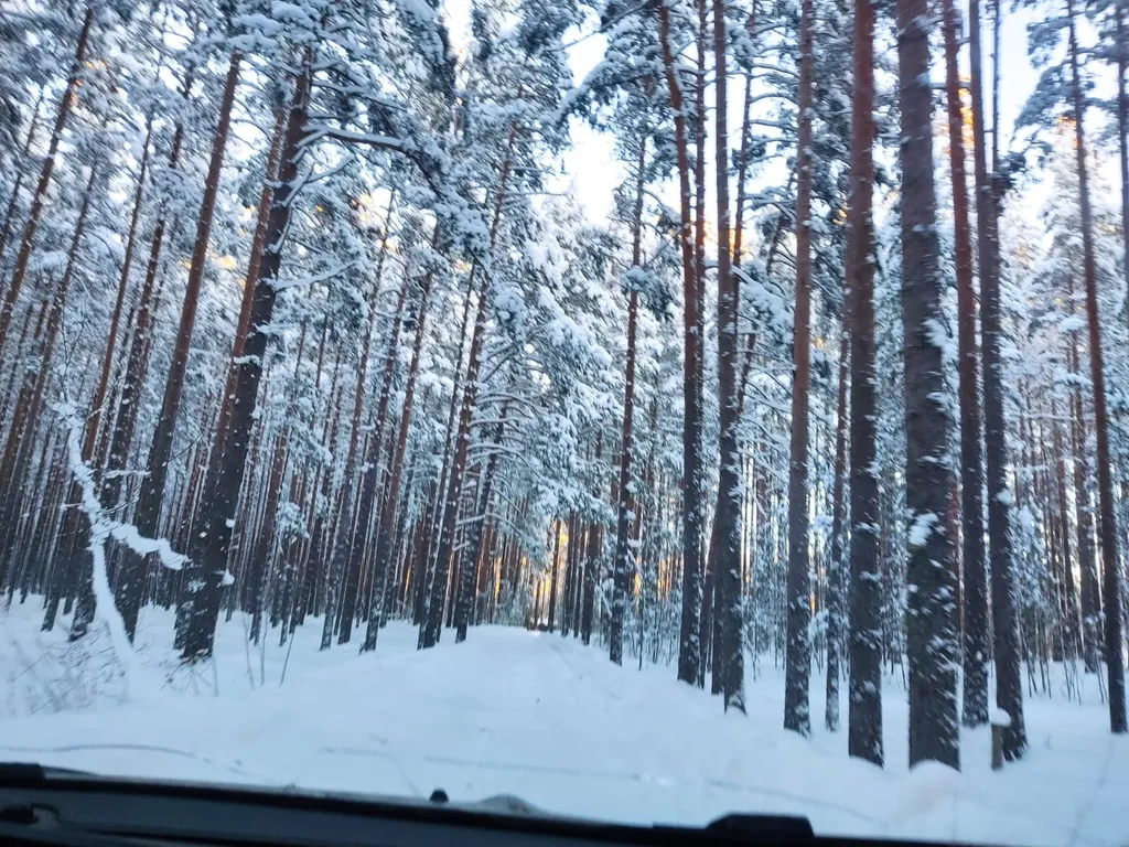 Коттедж Скандинавский дом, Ладога и маяк Vuohensalo в шаговой доступности — Приозерск