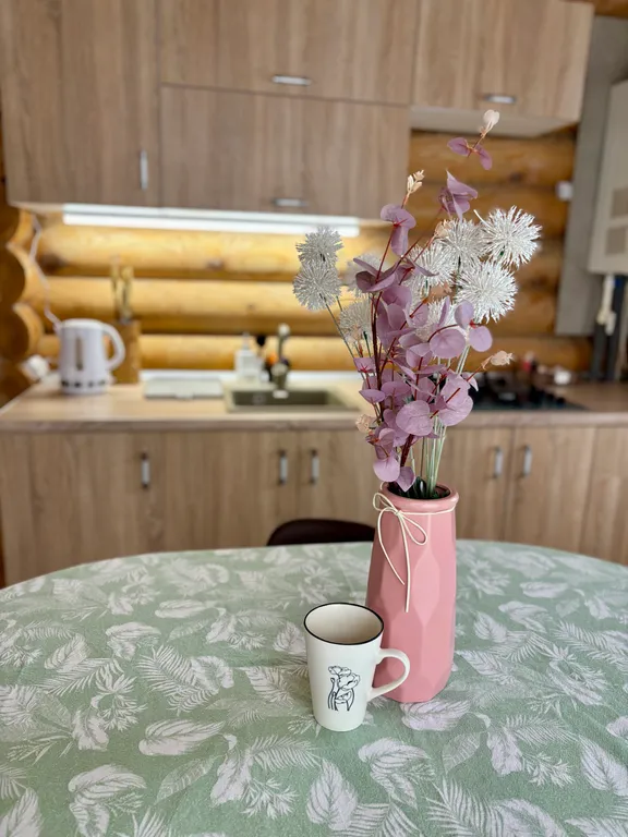 Уютный двухэтажный загородный дом с видом на Свиягу