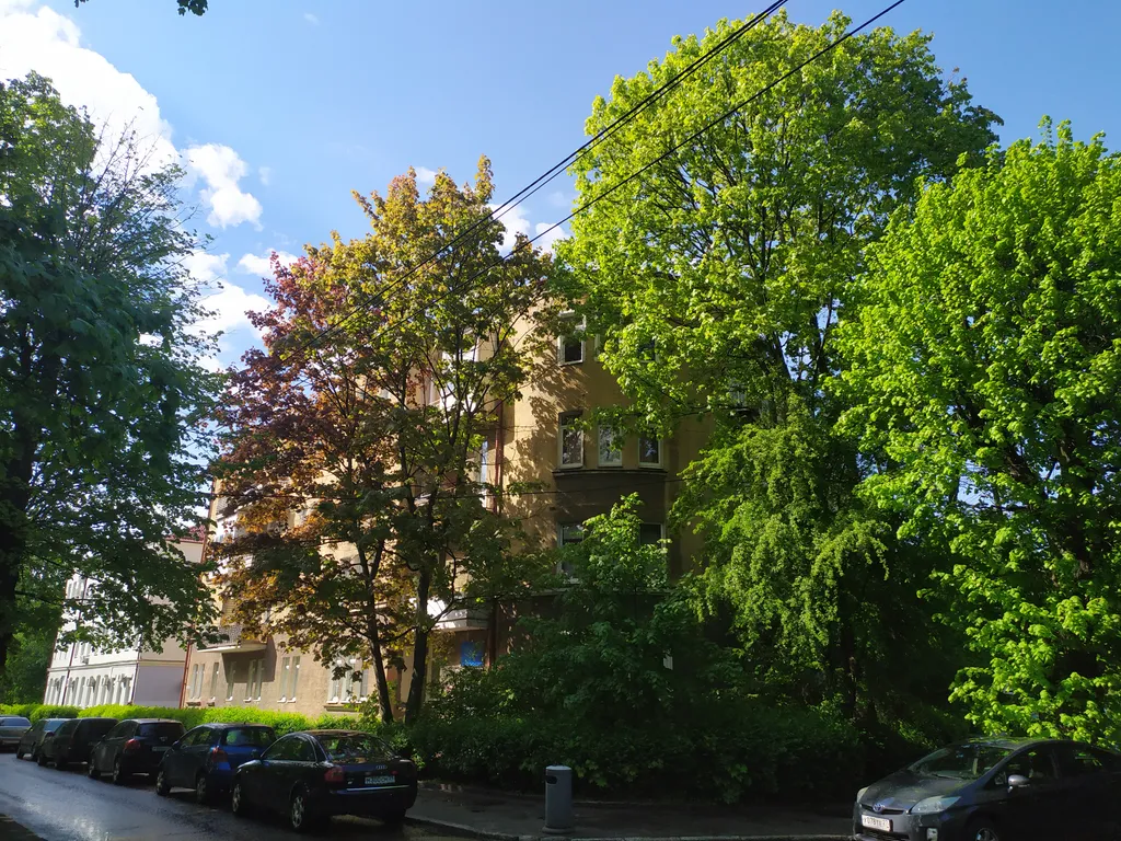 Квартира Квартира на тихой зелёной улице в центре у зоопарка — Калининград