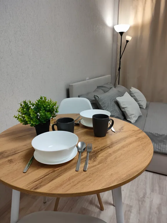 Комфортная студия