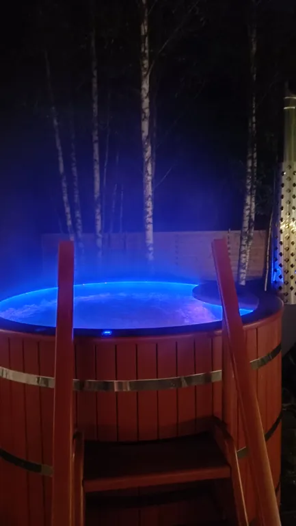 Чарующий дом Птички