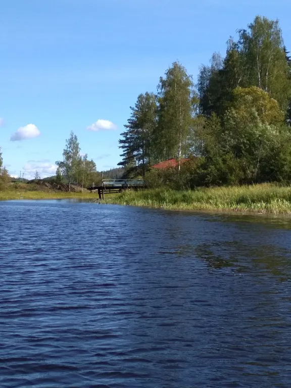 Хутор Медовое на Ладожском озере