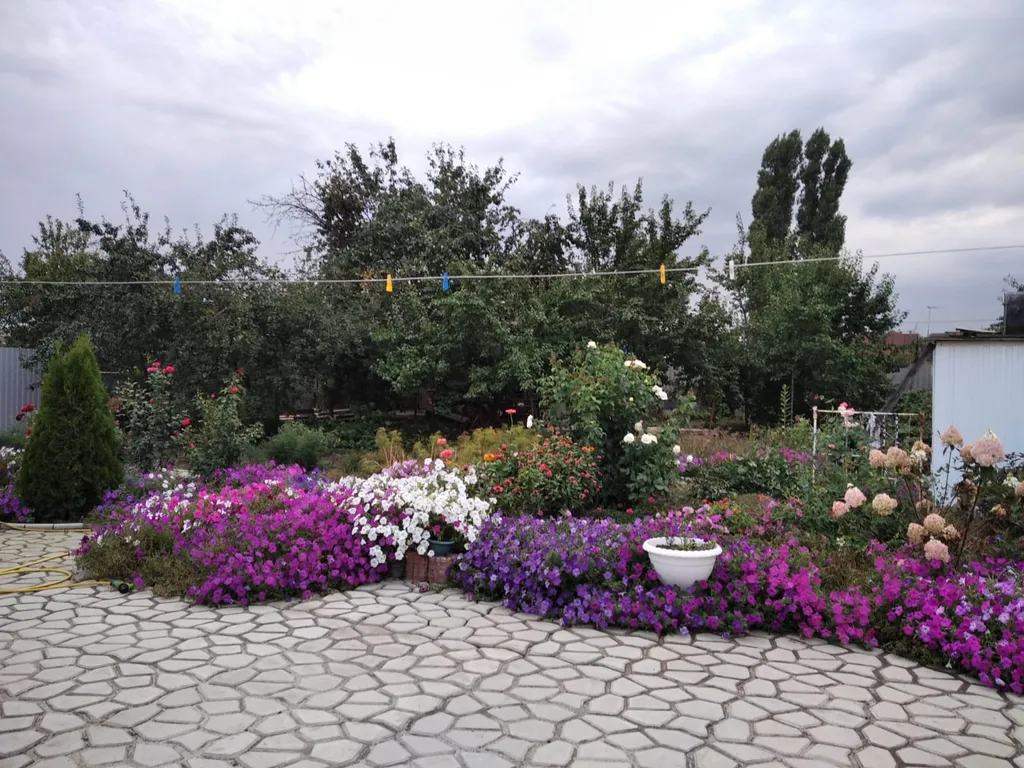 Апартаменты для Вас