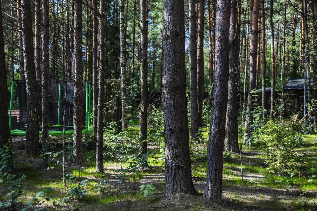 Коттедж Коттедж А-Фрейм грей — Павловский Посад