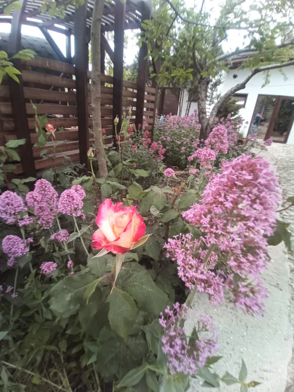 Аппартамент в соснах на четверых