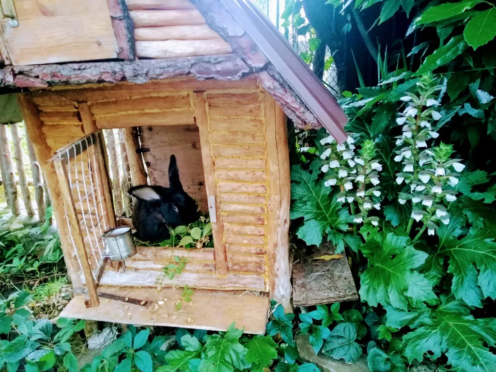 Гостевой дом Каньон Псахо