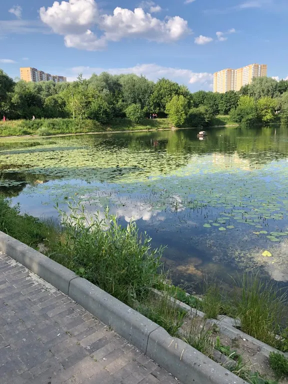 Квартира Квартира в 10 минутах пешком от метро Озёрная — Москва